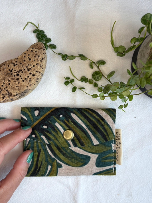 Monstera on Cream